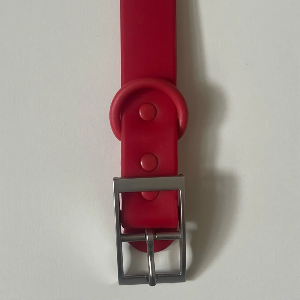 Wild One Dog Collar - XL (18-23